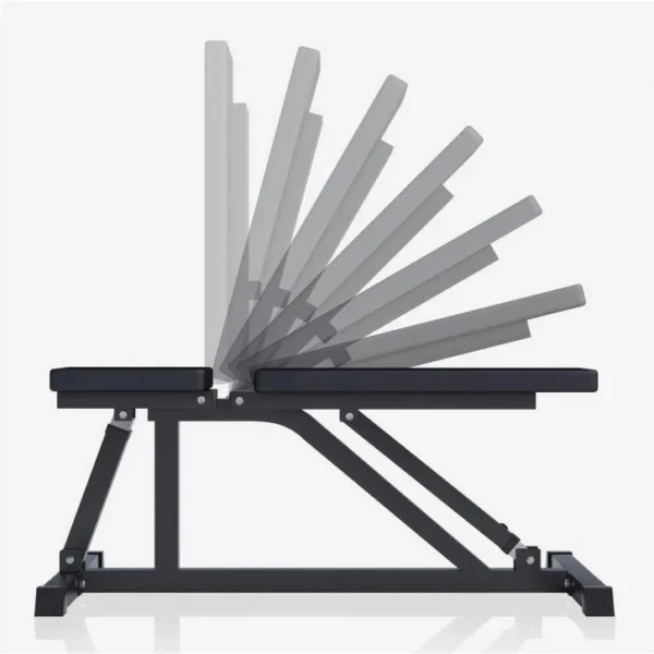 Banco de Musculación Profesional Ajustable